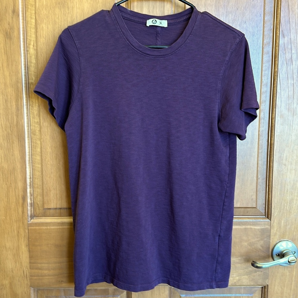 American Giant Slub Tee - Limited Edition Color